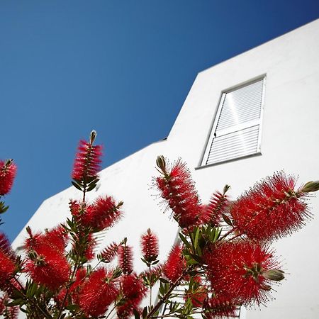 Canvas Apartments&Lofts Cadaqués Exteriér fotografie