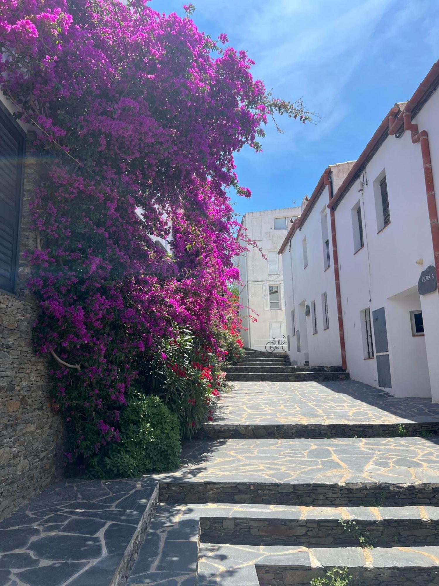 Canvas Apartments&Lofts Cadaqués Exteriér fotografie