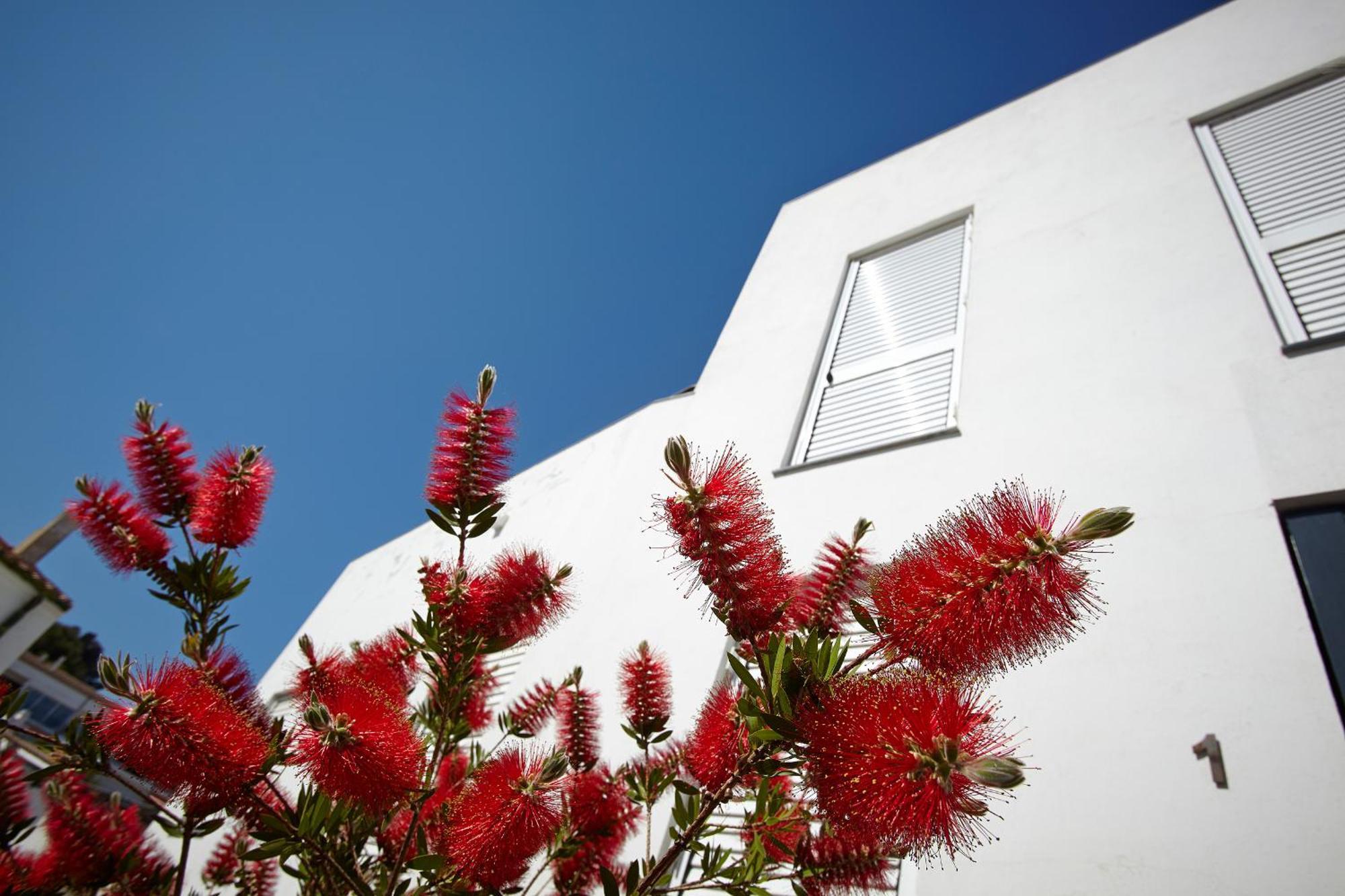 Canvas Apartments&Lofts Cadaqués Exteriér fotografie
